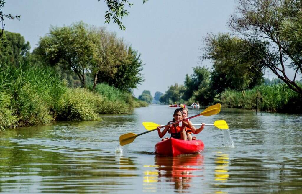 קיאקים באינדי פארק. | ריקי אדרי