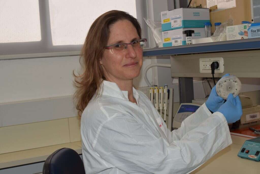 כרמית זיו | גינת רפאל