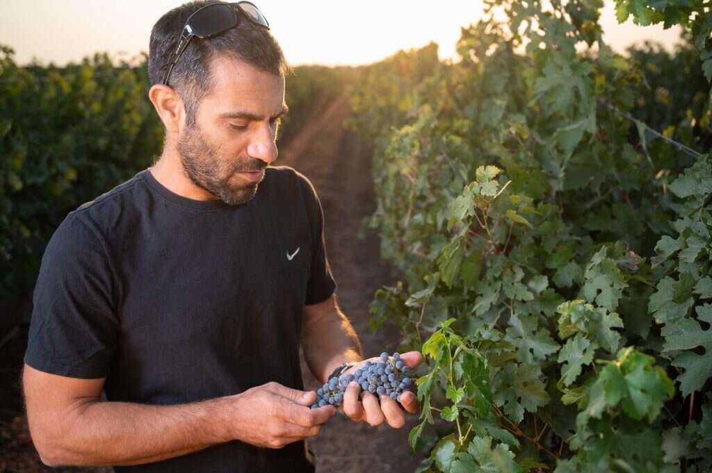 מיכאל גלעדי, ג'יני