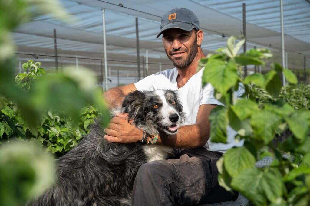 מיכאל גלעדי, ג'יני
