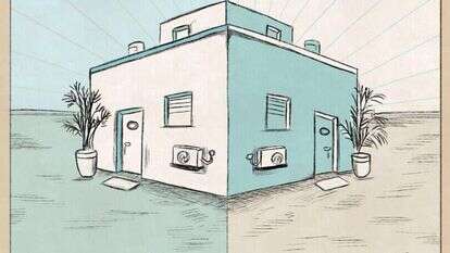 איור: שרון ארדיטי