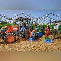 מנחם פרידמן. | אנצ'ו גוש, ג'יני