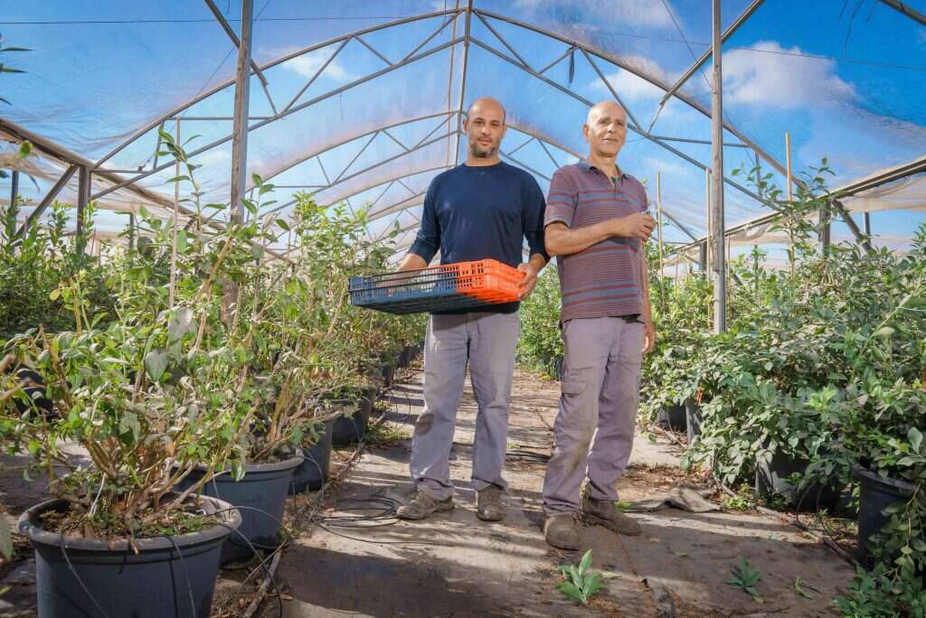 יוסי חזיזה ואביו. | אנצ'ו גוש, ג'יני