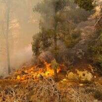השריפה בגוש עציון. | כב"ה מחוז יו"ש