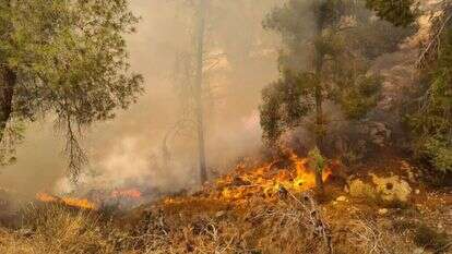השריפה בגוש עציון. | כב"ה מחוז יו"ש