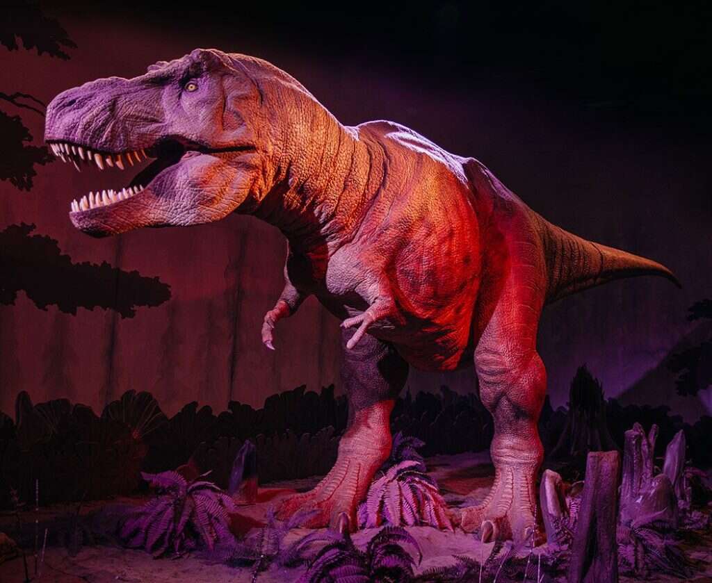 סודות הדינוזאורים מדעטק חיפה. | Mario Ilcampo