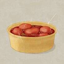 איור: שרון ארדיטי