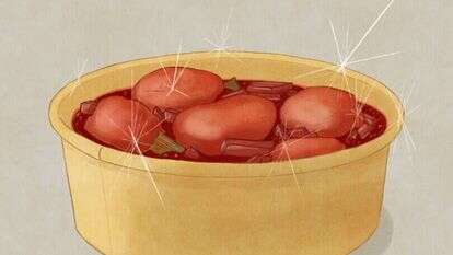 איור: שרון ארדיטי