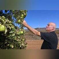 "הביטחון התזונתי שלנו טמון במטעים". יורם מועלם. | מיכאל גלעדי, ג'יני