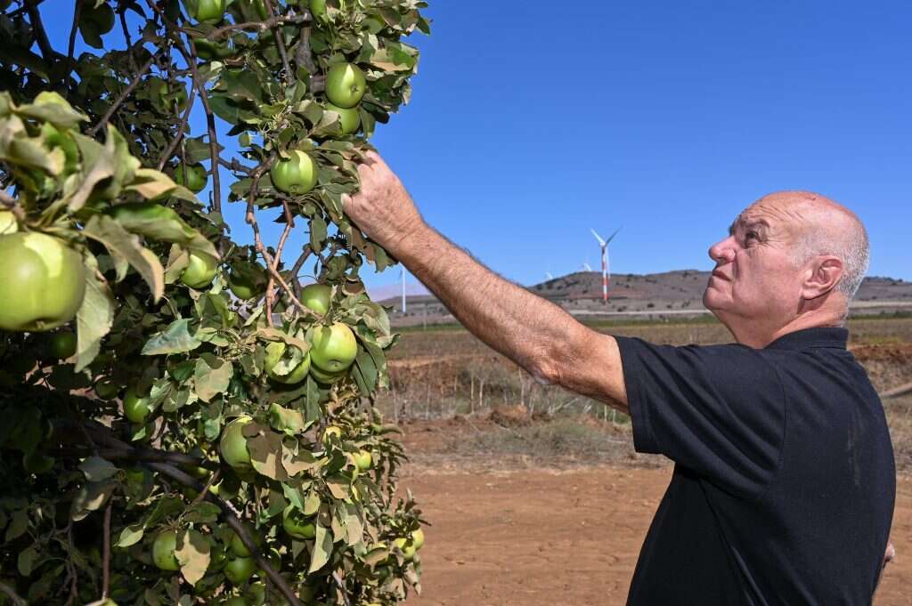 "הביטחון התזונתי שלנו טמון במטעים". יורם מועלם. | מיכאל גלעדי, ג'יני