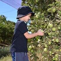מיכאל גלעדי, ג'יני