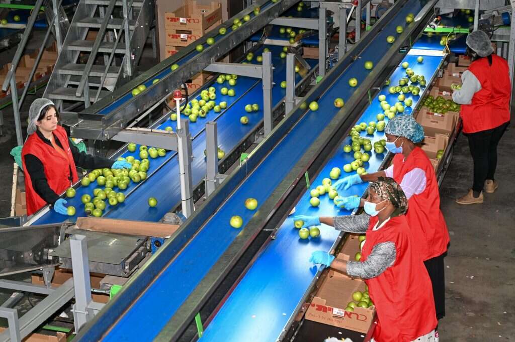 אולם המיון. | מיכאל גלעדי,, ג'יני