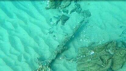 החרב שנמצא. | שלומי קצין