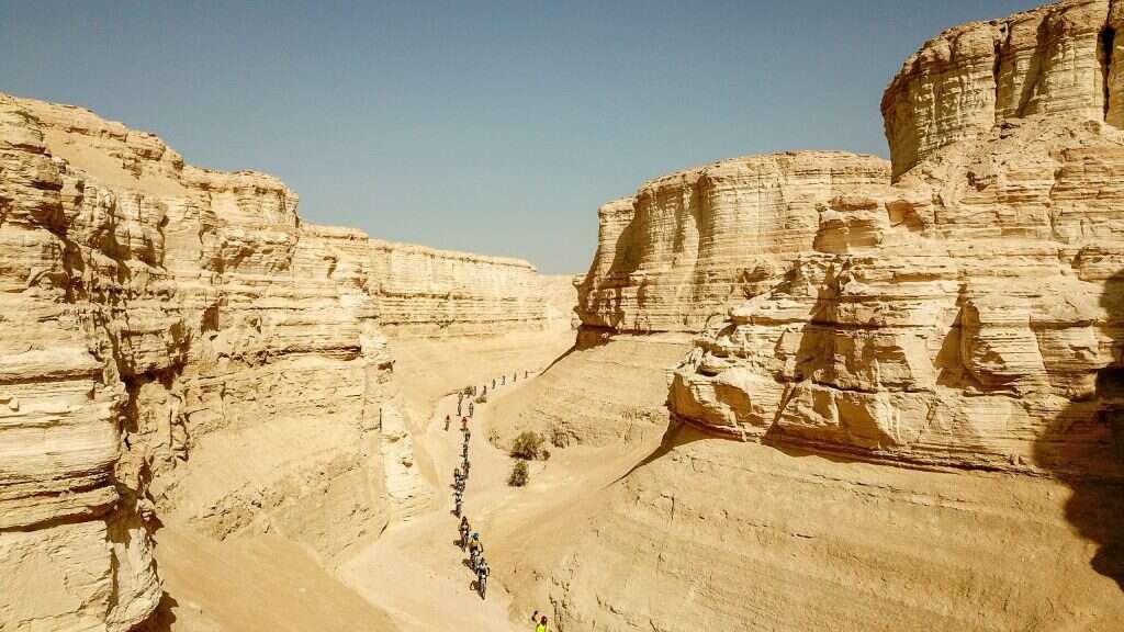 קרדיט: חובב לנדאו