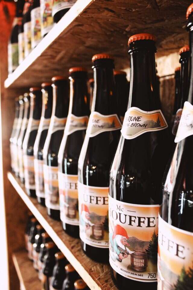 צילומים: שרה צמח