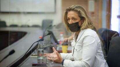 שרון אלרעי פרייס בוועדת חוקה. | נועם מושקוביץ, דוברות הכנסת