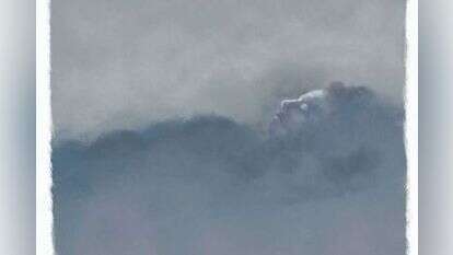 איור: מנחם הלברשטט איור: מנחם הלברשטט