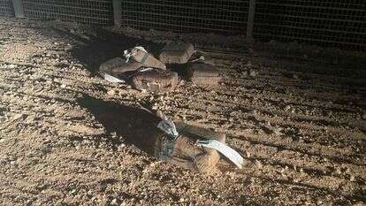 סמים שנתפסו בגבול מצרים. | דובר צה"ל