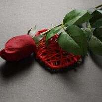 "הלב הוא שדחק לצאת, הוא שכיוון / הייתי לו עיניים לא יותר". | שאטרסטוק