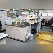 מעבדה אוניברסיטאית. | חן גלילי מעבדה אוניברסיטאית. | חן גלילי