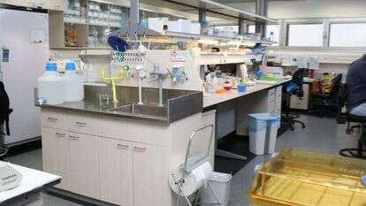 מעבדה אוניברסיטאית. | חן גלילי