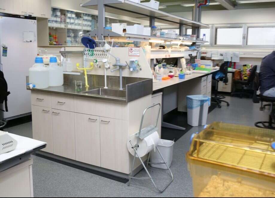 מעבדה אוניברסיטאית. | חן גלילי