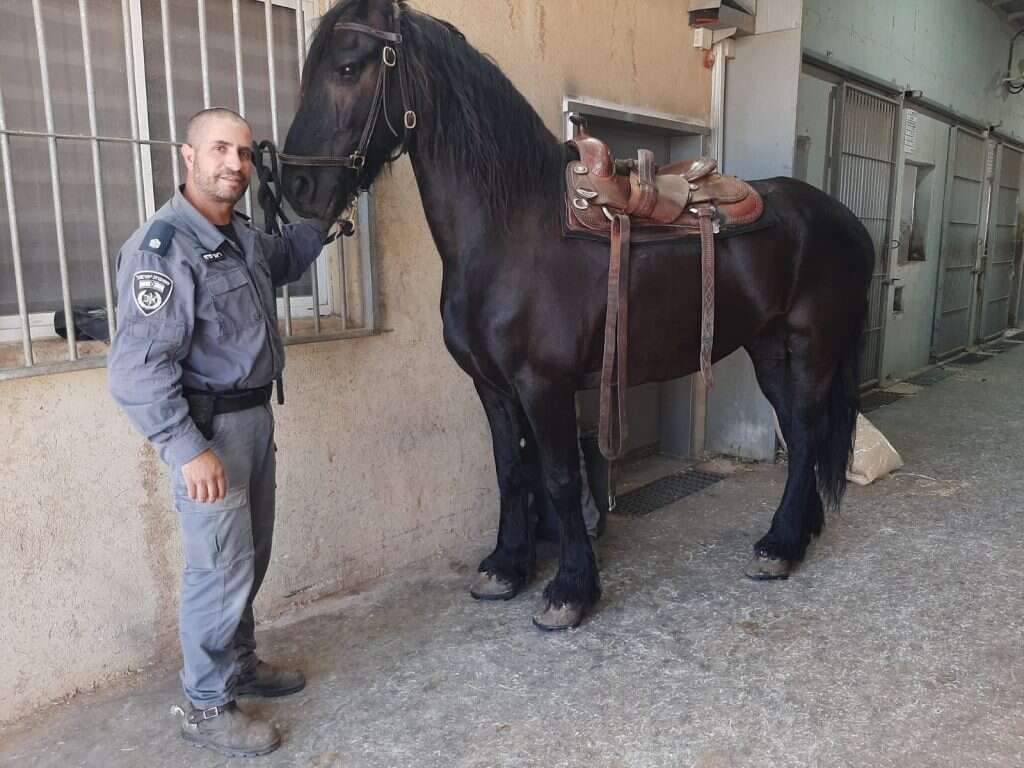 רפ"ק ליאור יפרח עם הסוס ירקון. | דוברות המשטרה רפ"ק ליאור יפרח עם הסוס ירקון. | דוברות המשטרה