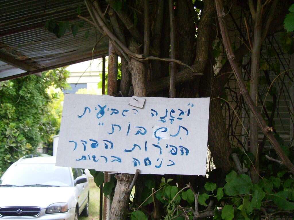 שהאירוע לא יעבור לידנו. שלט המכריז על פירות "הפקר" בשנת שמיטה. | Drork מתוך ויקיפדיה