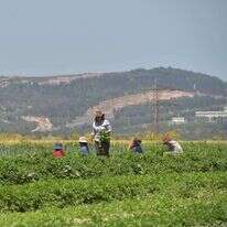 גיל אליהו, ג'יני
