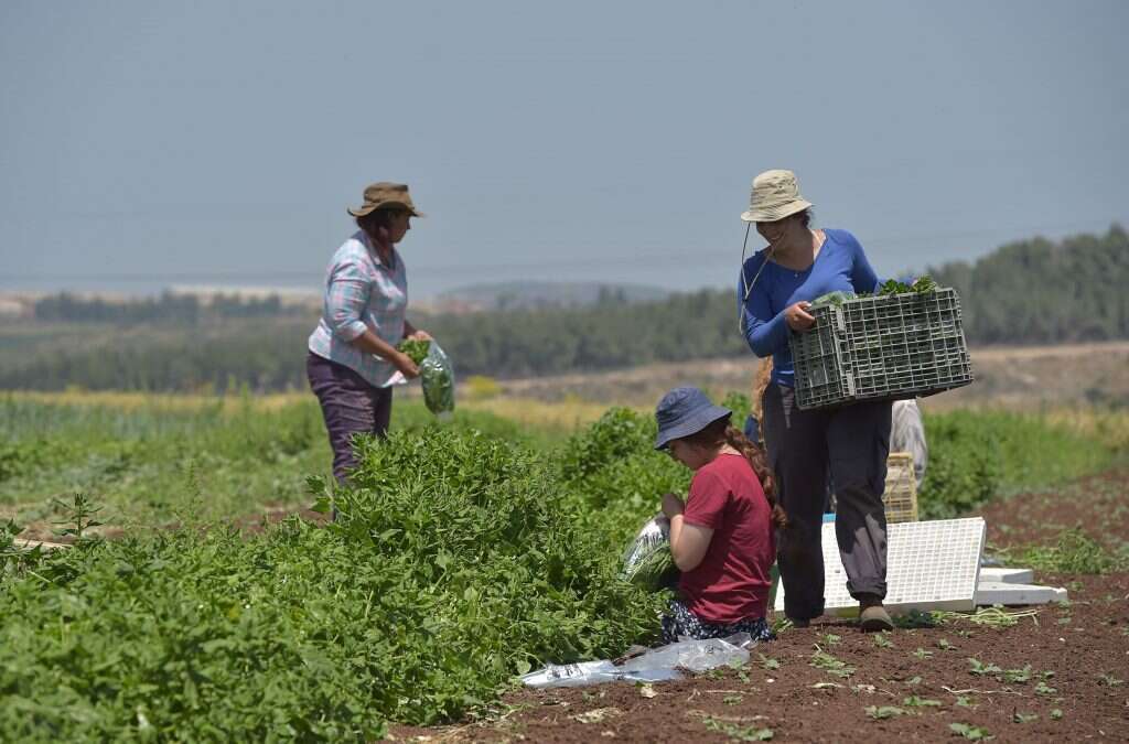 למצוא את הקשר שלנו לשמיטה. נוער עובד אדמה. | גיל אליהו, ג'יני