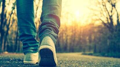 מסע. | שאטרסטוק