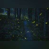 Travis Dove, The Washington post