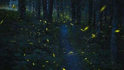 Travis Dove, The Washington post