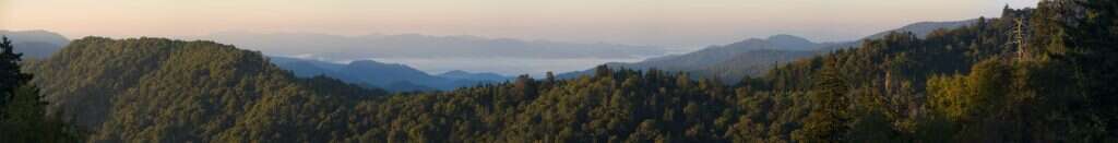 19 מינים חיים בגבולות הפארק. הרי הסמוקי. | גטי אימג'ס