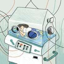 איור: נועה קלנר