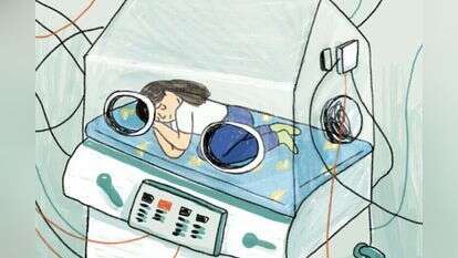 איור: נועה קלנר