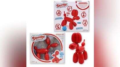 כלב סקוואקי. צילןום: יח"צ