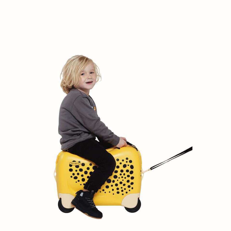 מזוודה ניידת. | אסף לוי חול