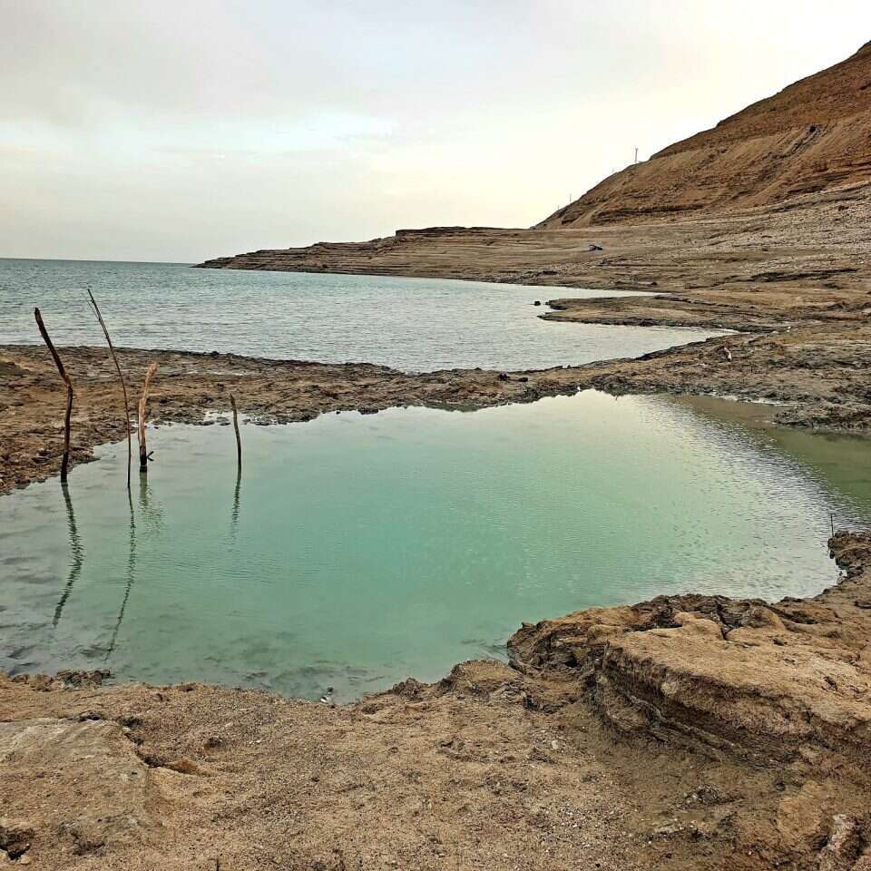 עין קדם. | חיים חבשוש