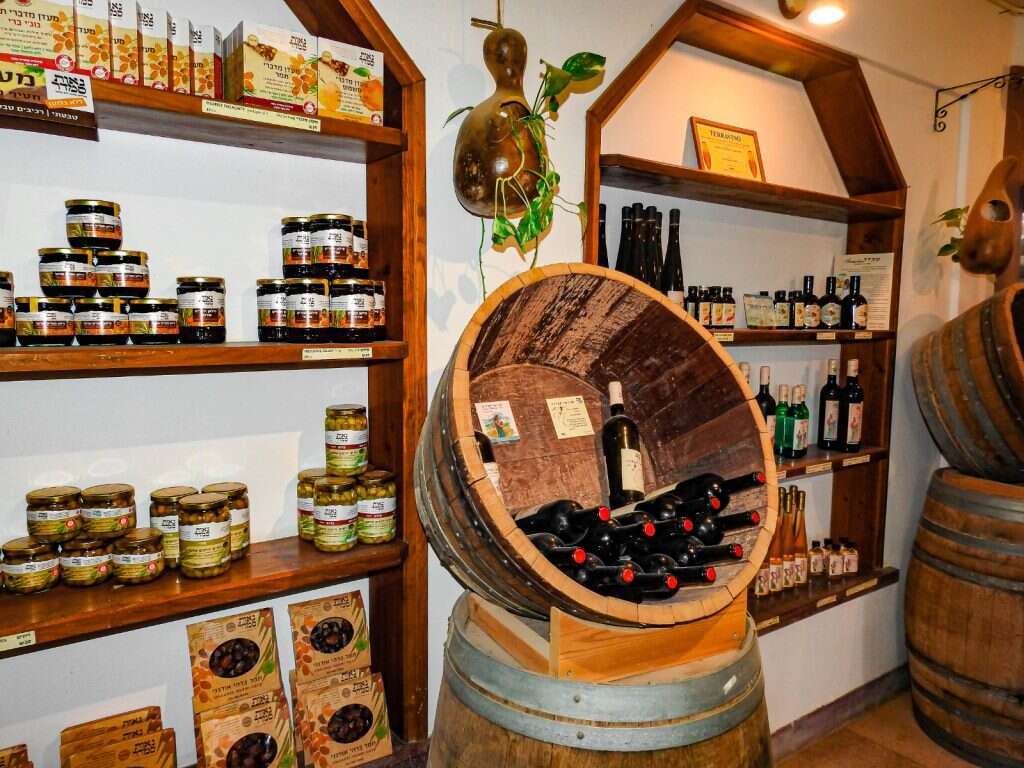 יקב נאות סמדר. | נתיב פיליבה