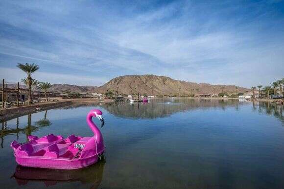 פארק תמנע. | יחצ