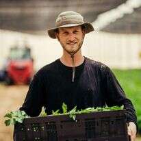 אלי קיי ז"ל בהתנדבות ב"שומר החדש" | יונה קפלן , השומר החדש