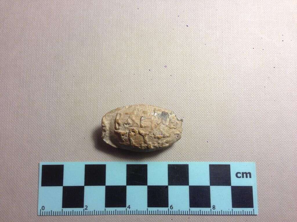 הקלע שנמצא בדרום הר חברון. | דוברות מתפ״ש הקלע שנמצא בדרום הר חברון. | דוברות מתפ״ש