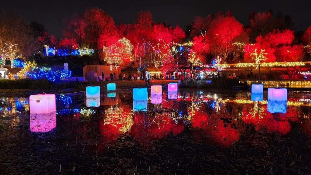 הגן הבוטני חנוכה 2021. | טל מרום