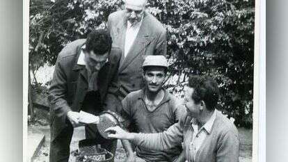 דוד שטרן מעיין באחד ממסמכי ארכיון הכד. | פוטו גיל-או