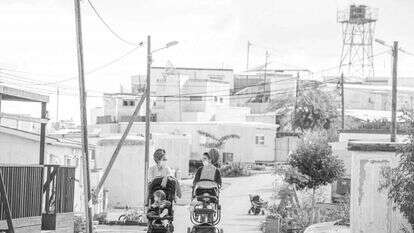 שריה דיאמנט שריה דיאמנט