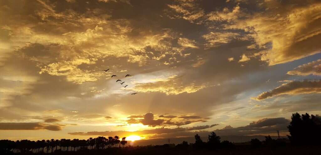 סיור זריחה בחנוכה בפארק המעיינות. | מוטי שחר