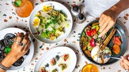 פלומינו. | דויד מויאל