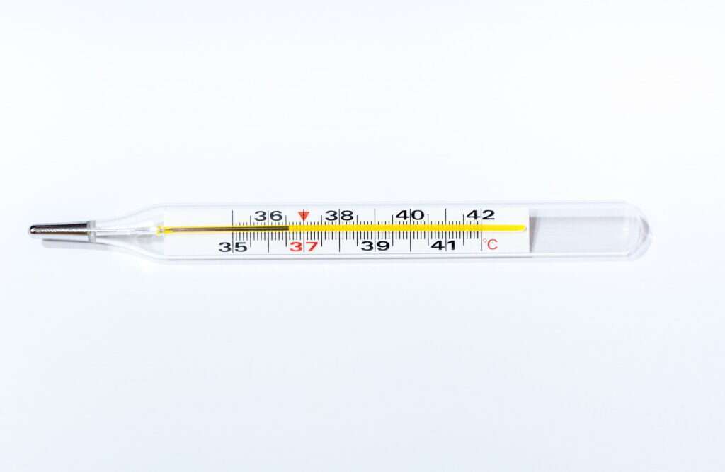 שאטרסטוק שאטרסטוק