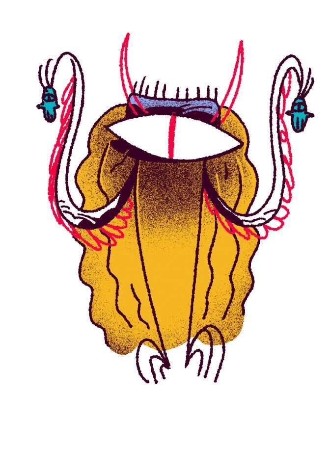 איור: שמעון אנגל